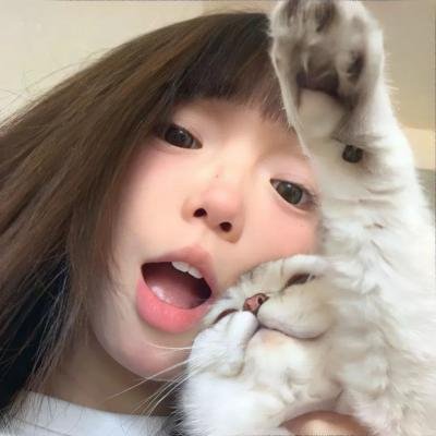 剧集频道